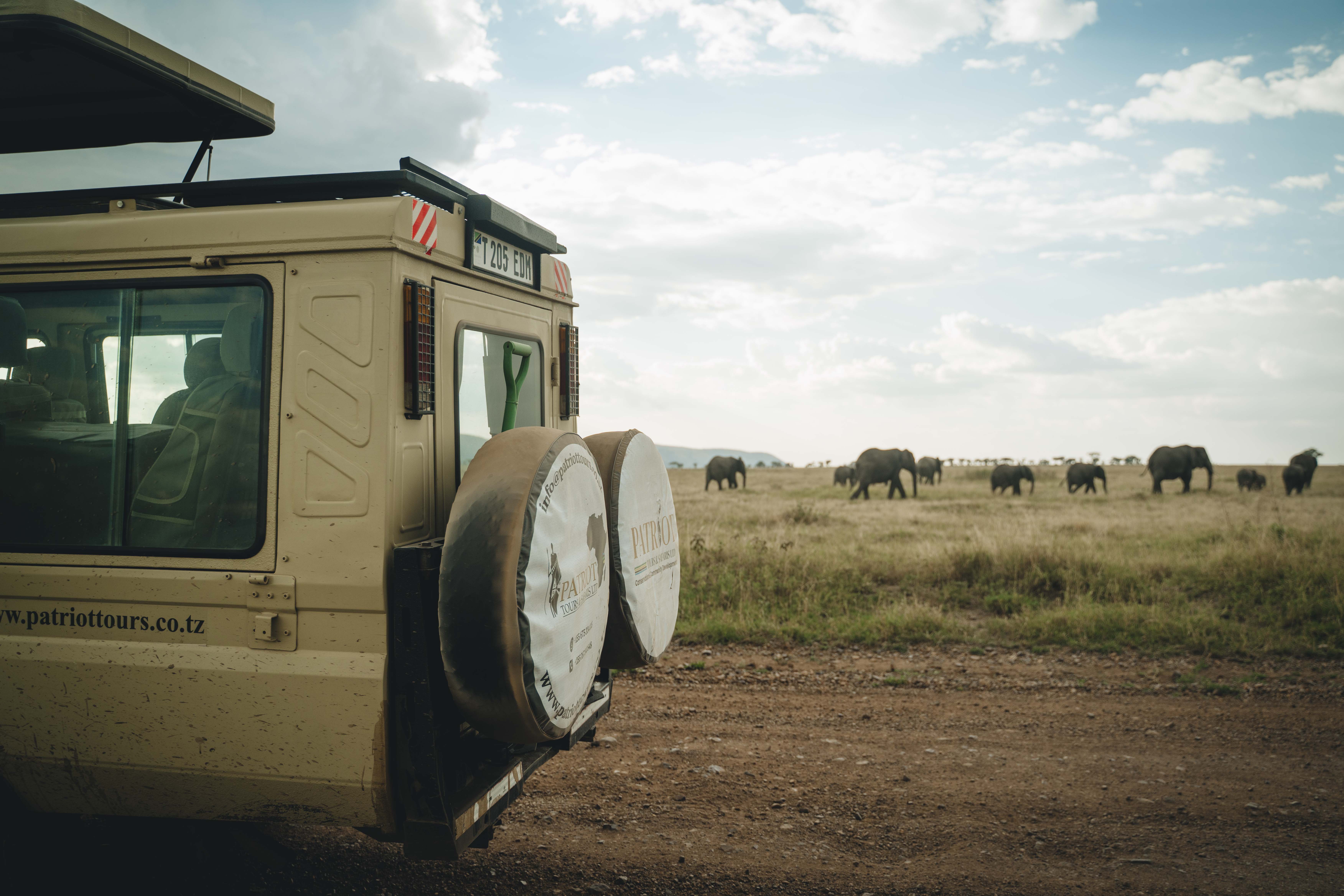 Seamless Cross-Border Travel