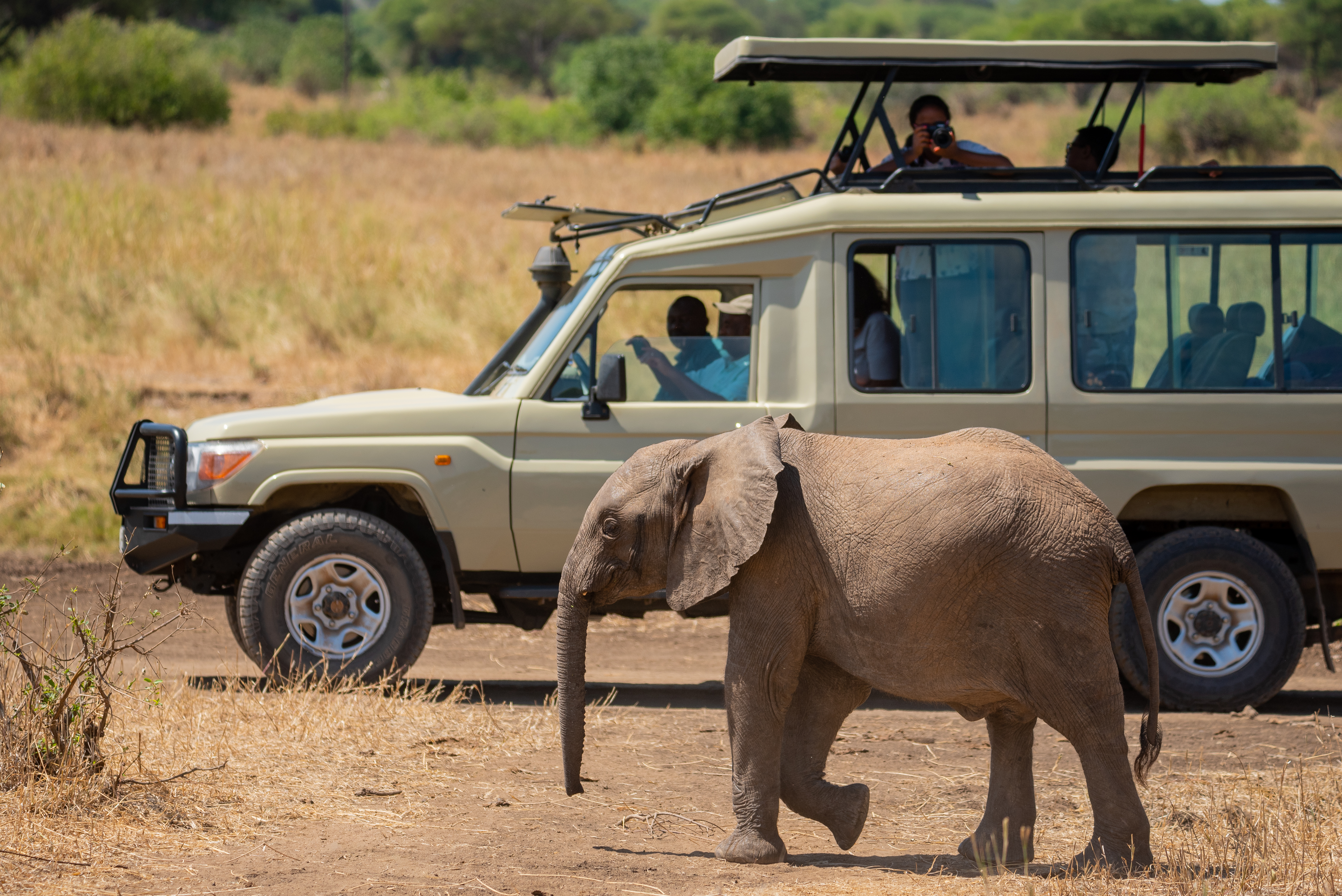 Grand East Africa Safari