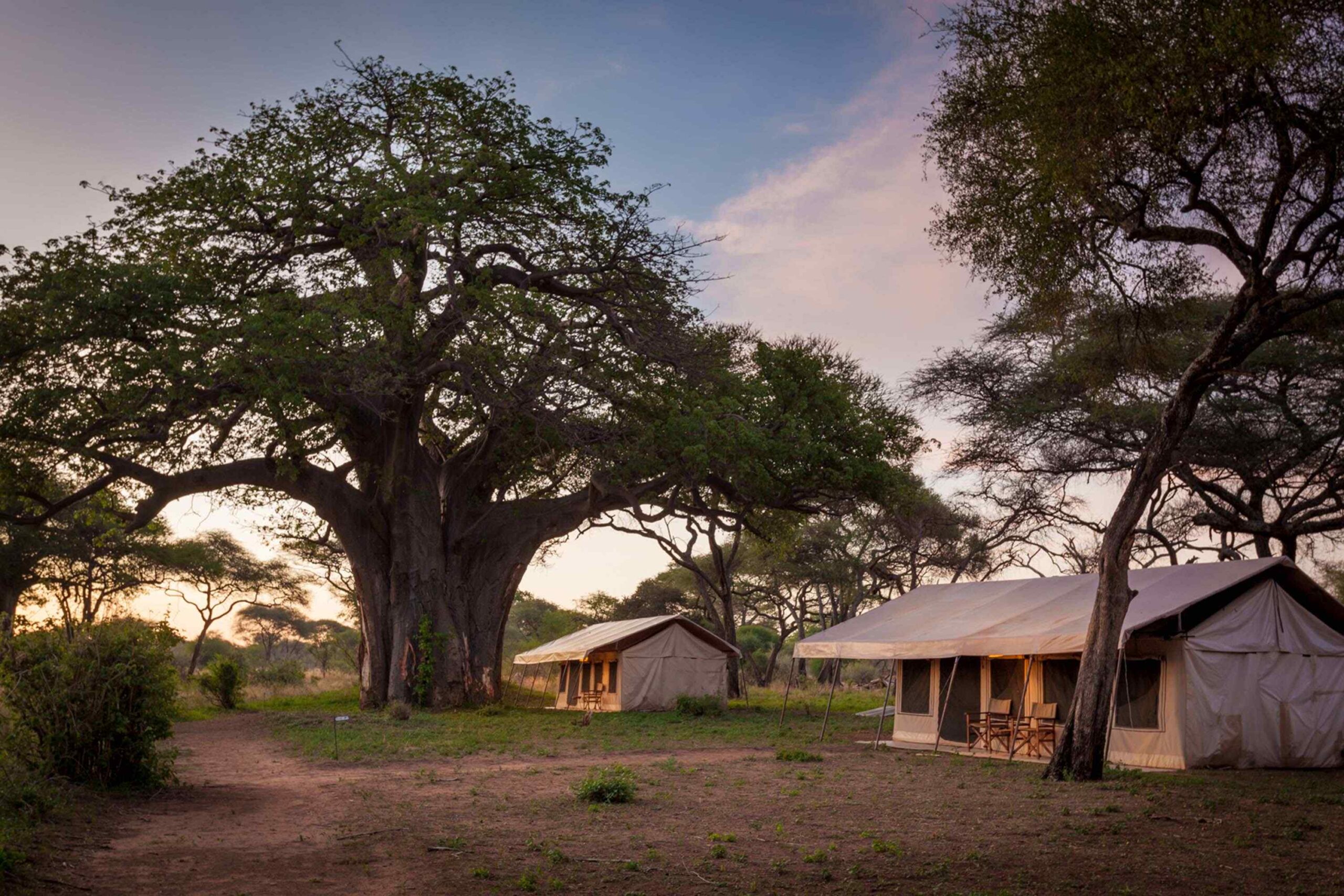 Baobab Mara Luxury Camp