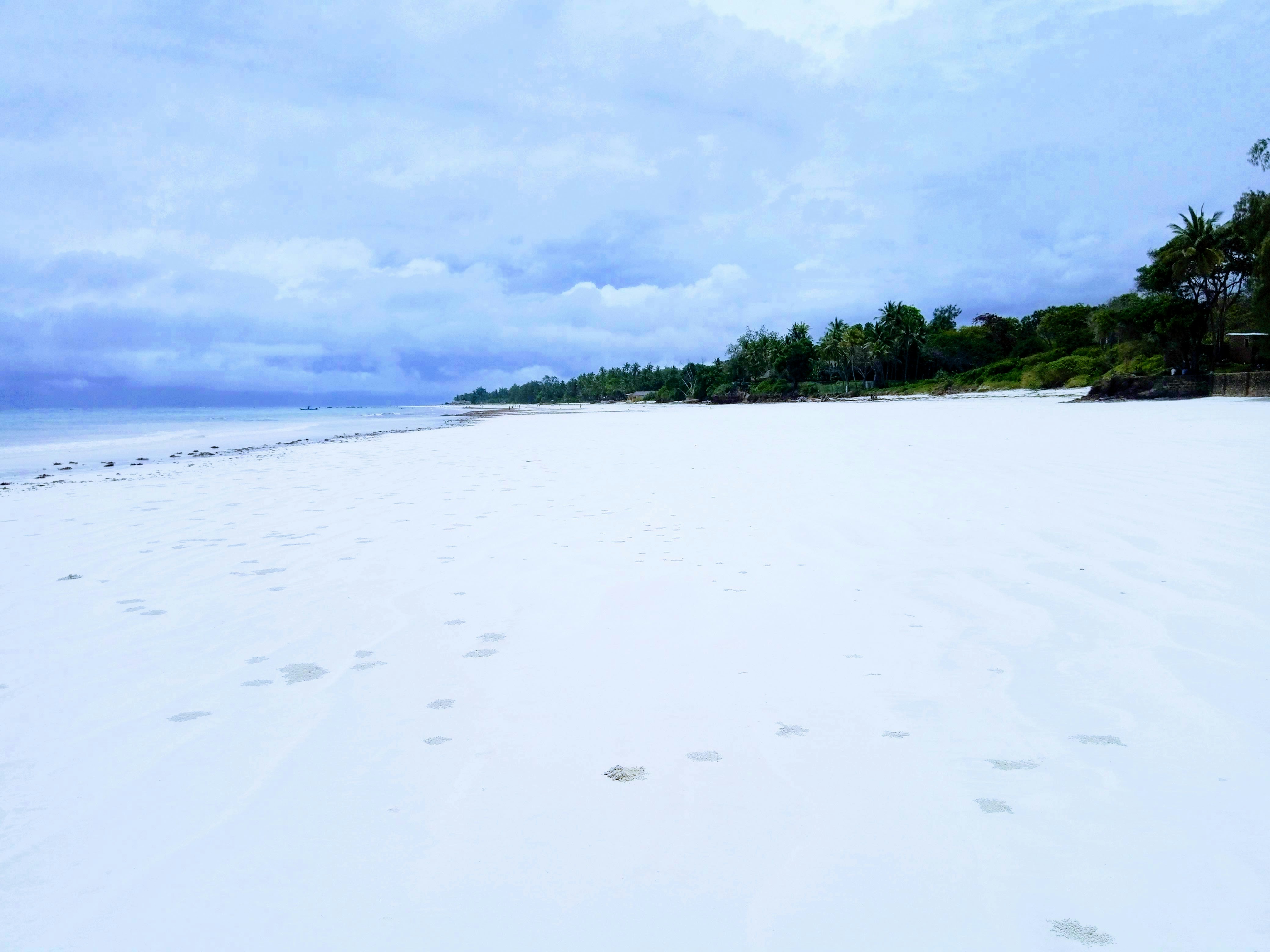 Diani Beach Paradise