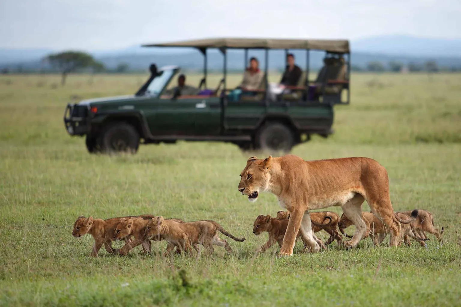 Private Game Drives
