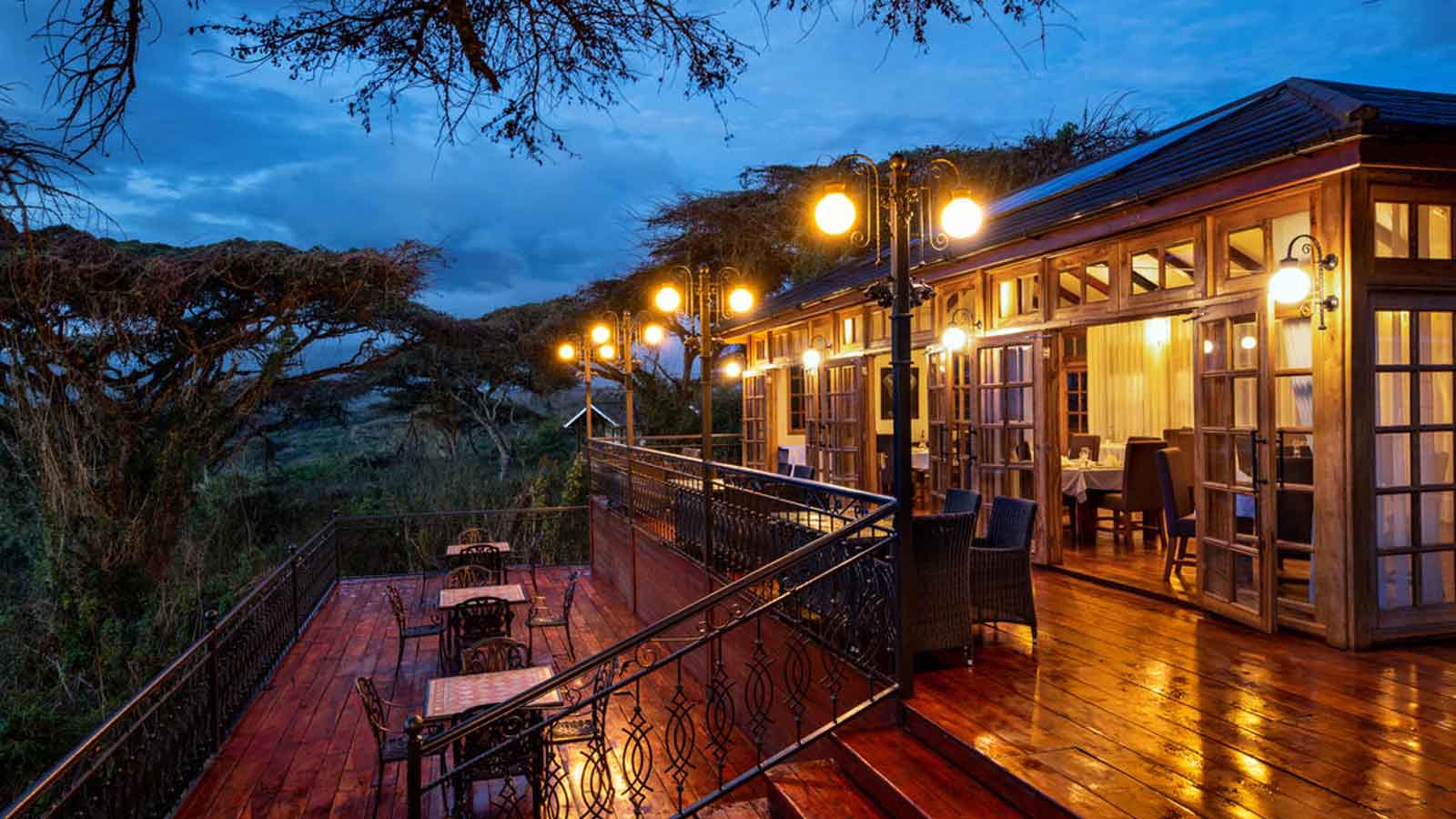 Ngorongoro Lions Paw