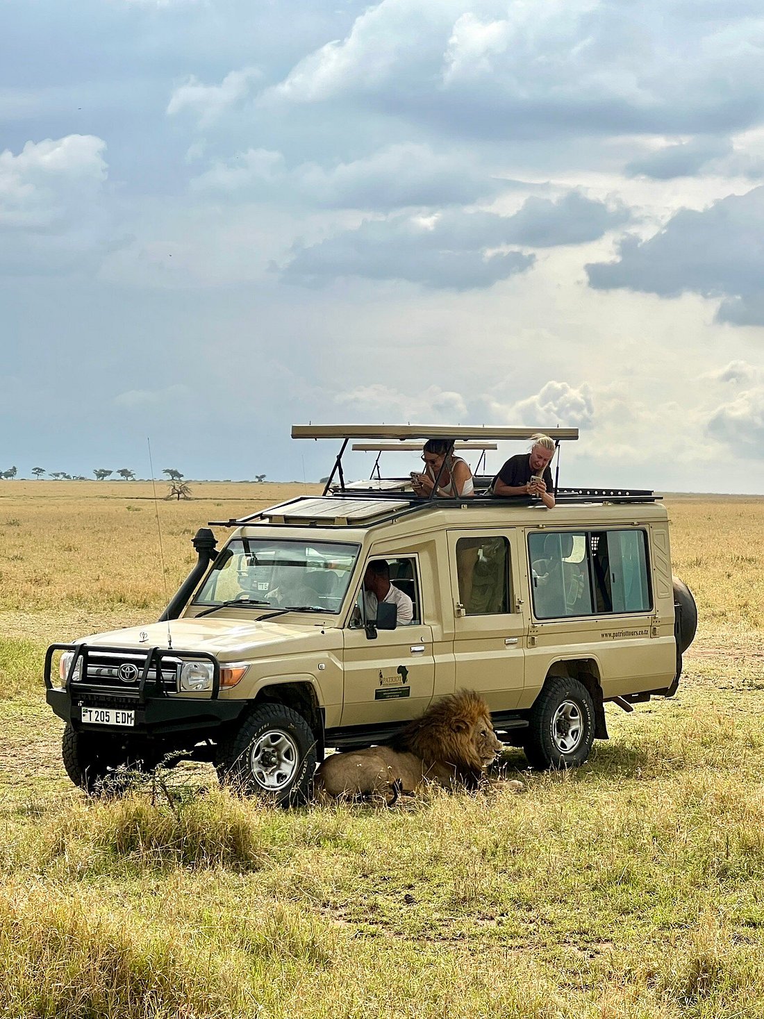 Tanzania Wildlife Safaris