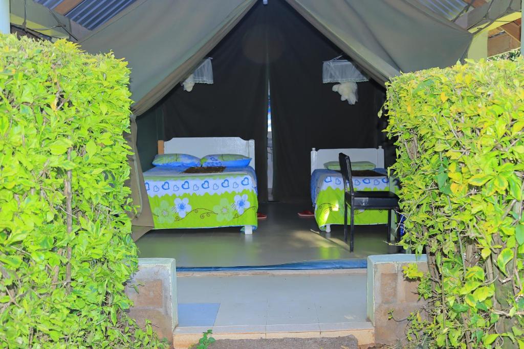 Rhino Tourist Camp