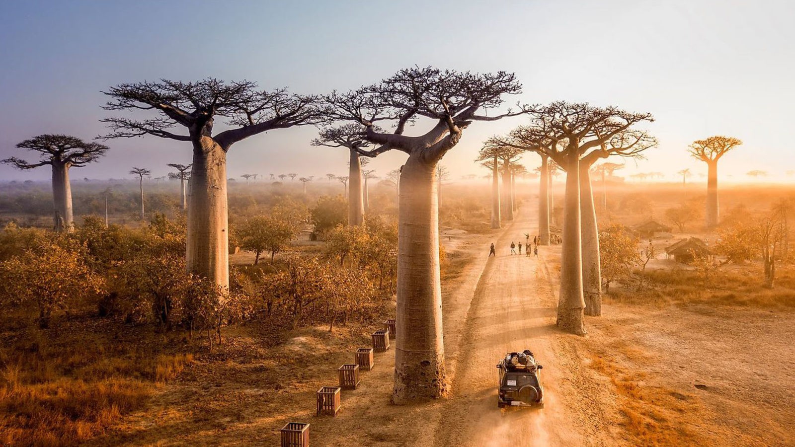 Western Madagascar Baobab & Wildlife Experience