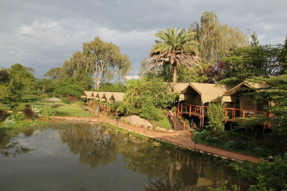 Wildebeest Eco Camp