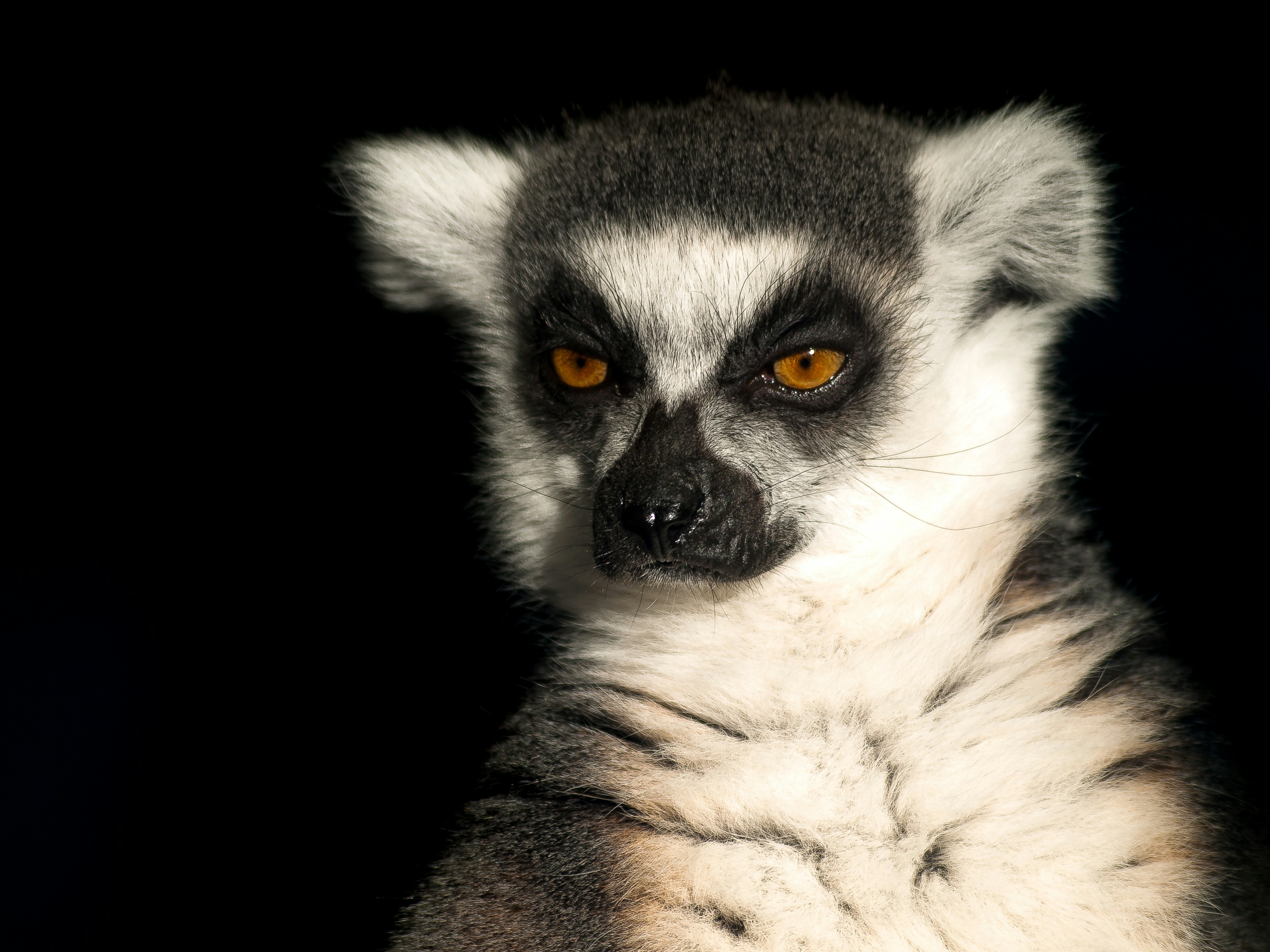 Madagascar Travel Inspiration